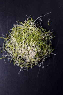 Soğan lahanası, sağlıklı gıda kavramı üzerinde ahşap uygunluğunu