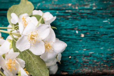 Eski ahşap masa, vintage tarzı üzerinde Yasemin çiçeği