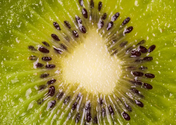 Kiwi kromka świeżego, makro tło, zdrowa żywność — Zdjęcie stockowe