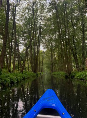 Ormandaki bir nehirde yüzen mavi bir kano.