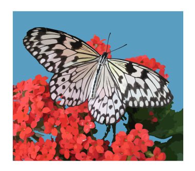 Stilize bir kelebek karşı pembe çiçekler üzerinde gösterimi