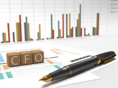 baş mali işler görevlisi - cfo