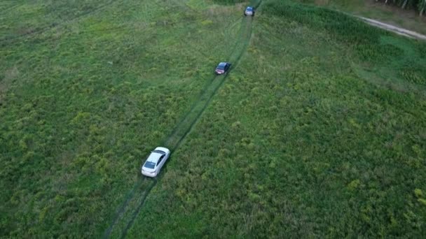 Widok z góry na samochód jazdy górskiej drogi przez zielone pole. Nagranie drone z pola trawy krętej drogi i samochodu — Wideo stockowe