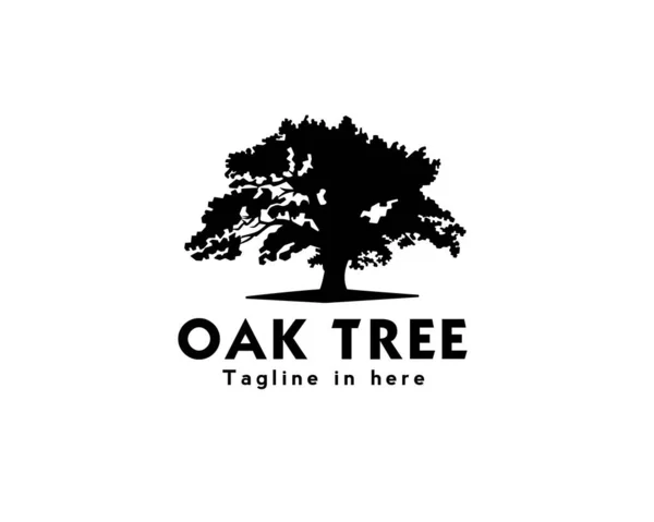 Oak Tree Logo Design Inspiration — Stock Vector