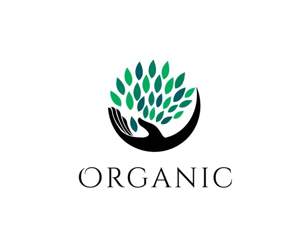 Organik sağlık logosu tasarımı