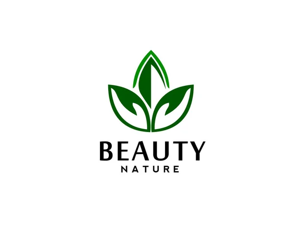 Λογότυπο Φροντίδας Ομορφιάς Φύσης Έμπνευση Σχεδιασμού — Διανυσματικό Αρχείο