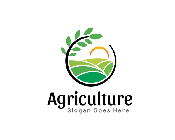 Tarım buğday pirinç yeşil tarım logosu sembolü çizimi