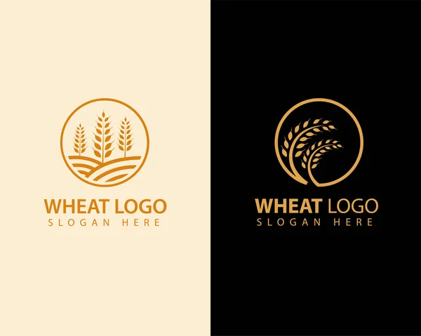 Vektör çizimi. Buğday logosu tasarımı
