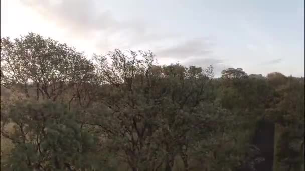 Luchtfoto schot in Inverleith park, Edinburgh tijdens zonsopgang — Stockvideo