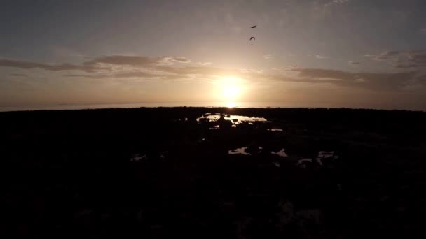 Luchtfoto van een kalm kustlijn tijdens zonsopgang — Stockvideo