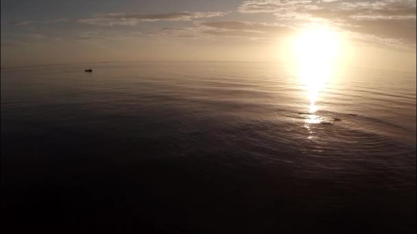 Aerial shot of a calm coastline during sunrise — Stock Video