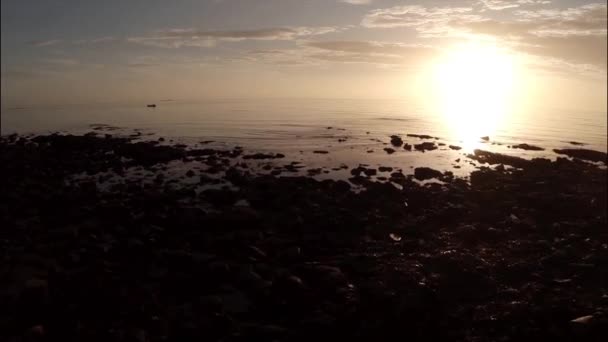 Aerial shot of a calm coastline during sunrise — Stock Video