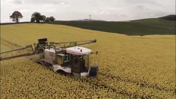 Antenn skott av en traktor i fältet sprutning raps — Stockvideo