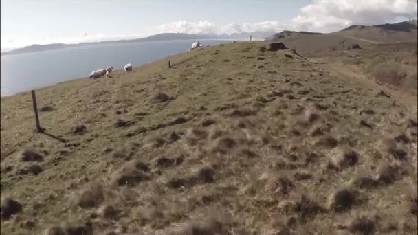 Luchtfoto van het eiland Skye in Schotland — Stockvideo