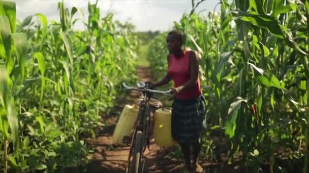 Su taşıyan bir bisiklet iterek bir Afrikalı kız — Stok video