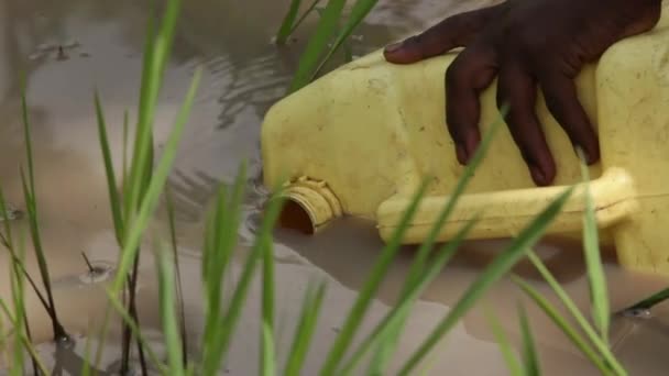 Niño africano usando una botella grande para llenar el agua — Vídeo de stock