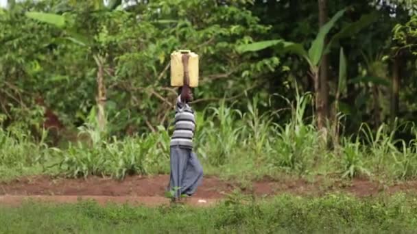 Una mujer africana cargando agua sobre su cabeza a través de un pueblo — Vídeo de stock