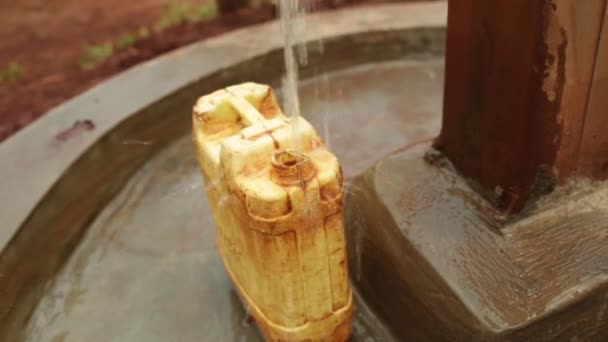 Afrika'da iyi bir su dolu bir sarı su kabı — Stok video