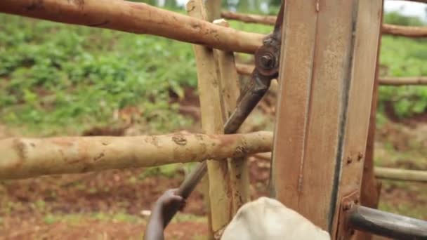 Un niño africano usando un pozo de agua llenando un recipiente de agua de plástico — Vídeo de stock