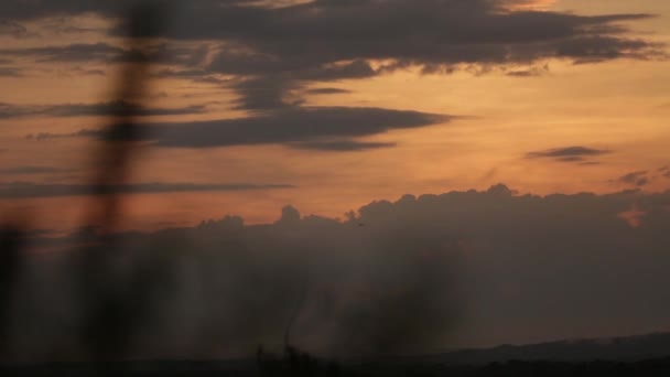 Een kleurrijke Afrikaanse zonsopgang met een vogel langs boven — Stockvideo