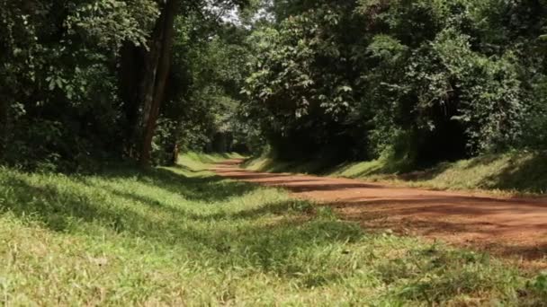 Eylül 2013 Masindi, Uganda, kırsal bir yolda bir Landrover sürücüler — Stok video