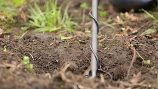 Metal detector in un buco nel terreno — Video Stock