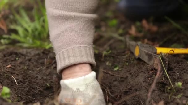 Na het gebruik van een metaal detector een man gebruikt een troffel te exvacate de grond — Stockvideo