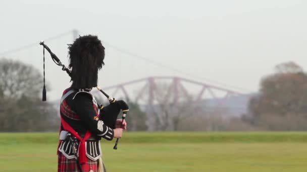 A scottish piper playing the bagpipes in traditional wear with forth road - rail bridge in the background, Edinburgh, Scotland, May 2014 — Stock Video