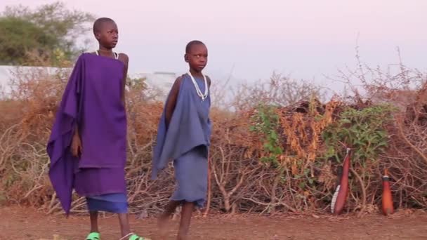 Dos niños masai caminando por la aldea, Taveta, Kenia, marzo de 2013 — Vídeo de stock