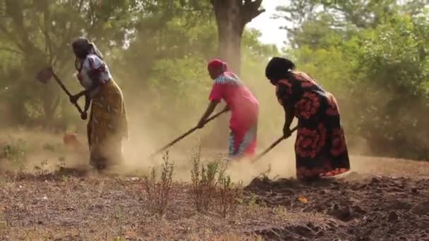 African ladies manually working the land, Taveta, Kenya, March 2013 — Stock Video
