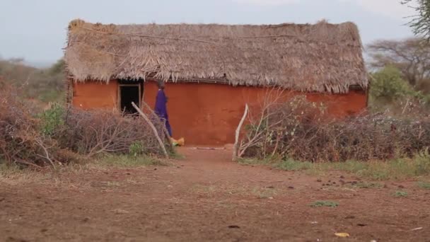 伝統的な泥の小屋、ケニアでは、2013 年 3 月を過ぎて歩くマサイ族子 — ストック動画