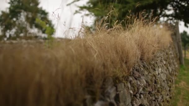 Schuifregelaar shot van een rustieke uitziende muur in Schotland — Stockvideo