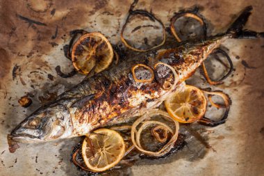 Izgarada kızarmış balık.