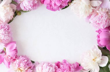 Güzel pembe çiçek çerçevesi mesajınız için yer ve fotokopi yeri. Üst Manzara. düz