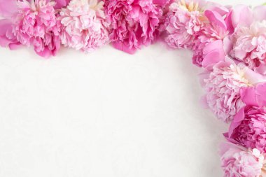 Beyaz arka planda pembe şakayık çiçekleri. en üstteki görünüm.