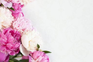 Beyaz arka planda pembe şakayıklar