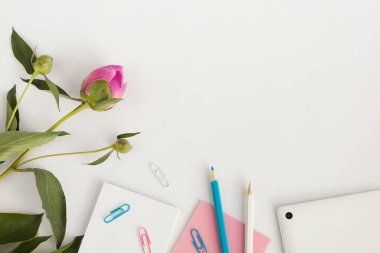 Pembe çiçeklerin üst görünümü ve beyaz arkaplandaki defter