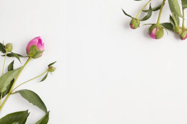 Yeşil arka planda pembe ve beyaz çiçeklerin üst görünümü