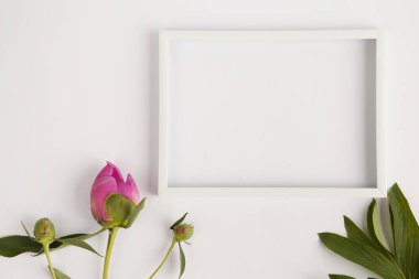 Yeşil arka planda pembe güller olan beyaz boş kart