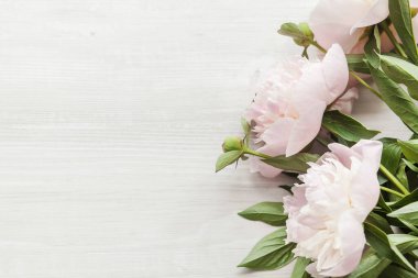 Beyaz ahşap arka planda pembe şakayıklar