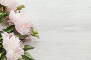 Ahşap arka planda pembe şakayıklar