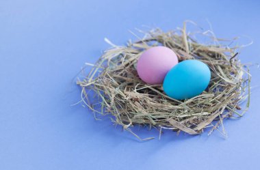 Mavi arka planda yuvada paskalya yumurtaları