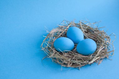 Mavi arka planda yuvada paskalya yumurtaları