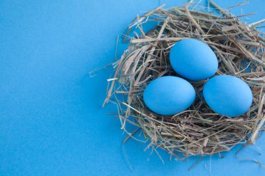 Mavi arka planda yuvada paskalya yumurtaları