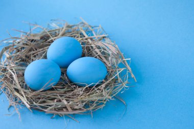 Mavi arka planda yuvada paskalya yumurtaları