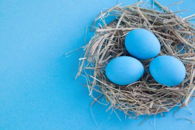 Mavi arka planda yuvada paskalya yumurtaları