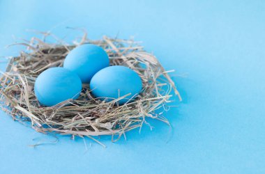 Mavi arka planda yuvada paskalya yumurtaları