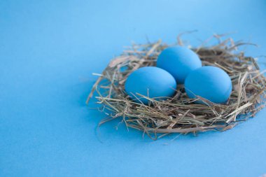 Mavi arka planda yuvada paskalya yumurtaları