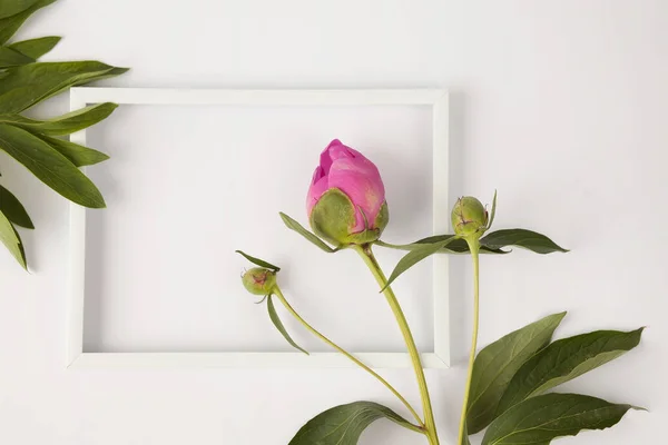 木の背景に白い花瓶にピンクのバラ — ストック写真
