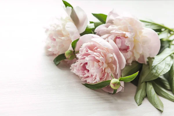 白い背景にピンク色の牡丹の花束 — ストック写真